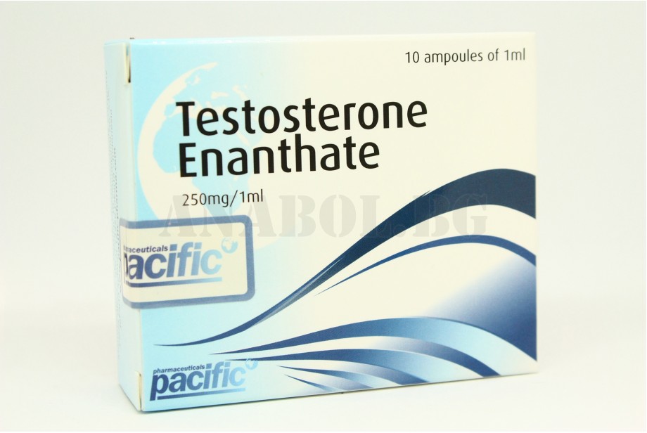 Тестостерон Енантат (Pacific Pharma)