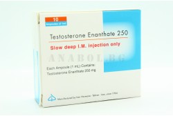 Аптечен Тестостерон Енантат ( Иран ) - 10 ампули
