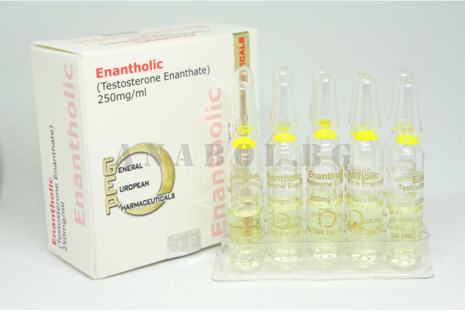 Enantholic (Gep) Тестостерон Енантат - 10амп. 250мг.