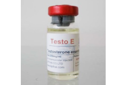 Testo E (Lipthai) Тестостерон Енантат - флакон 10мл.