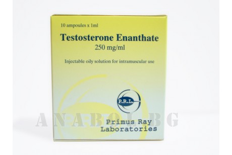 Testosterone Enanthate (Primus Ray) 10 ампули Енантат