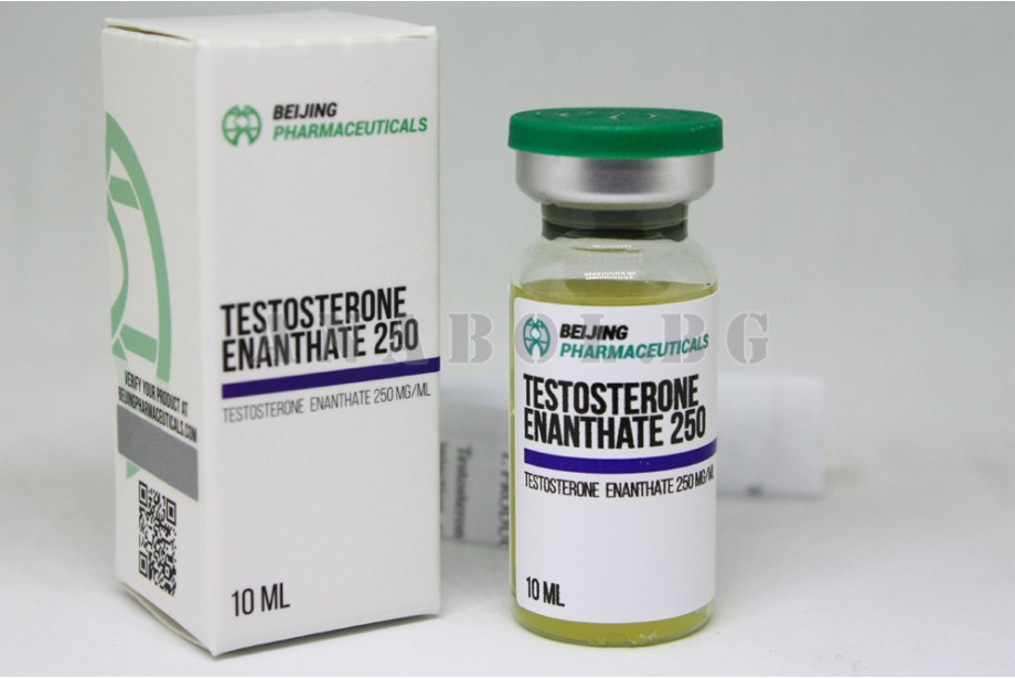 Testosterone Enanthate (Biotech Beijing) 10 ml